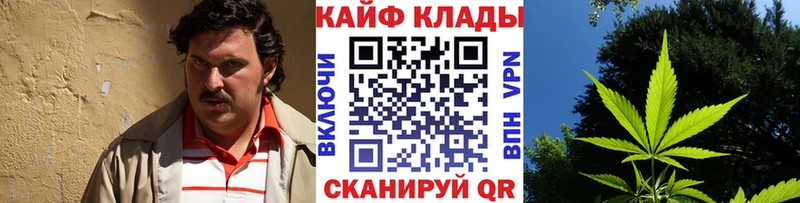 Купить закладку Марихуана  Alpha-PVP  ГАШ  МЕФ  Кокаин  Демидов
