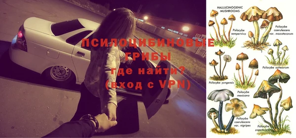 Альфа ПВП Беломорск