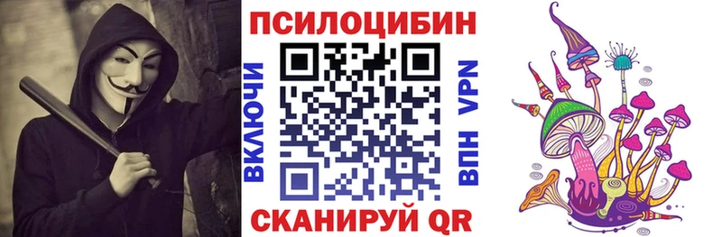 Купить  Демидов  Псилоцибиновые грибы MAGIC MUSHROOMS 